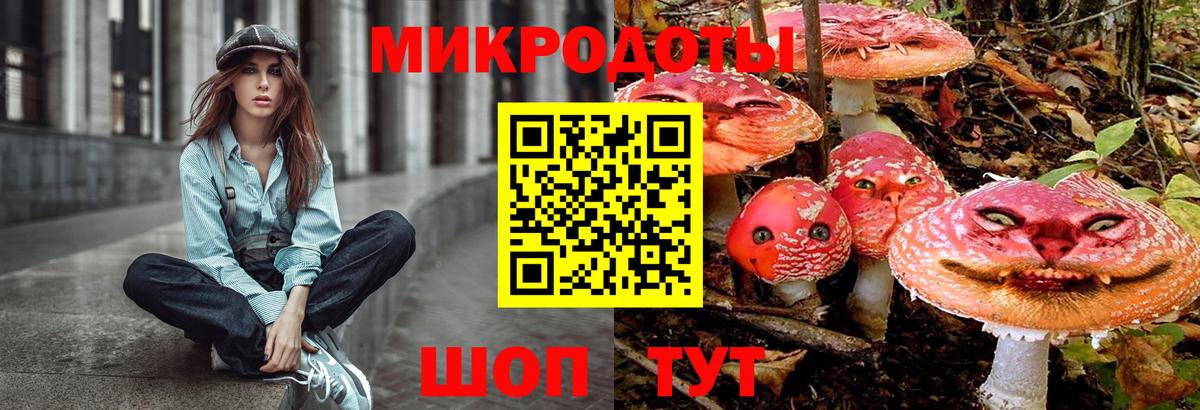 Псилоцибиновые грибы мухоморы Буйнакск